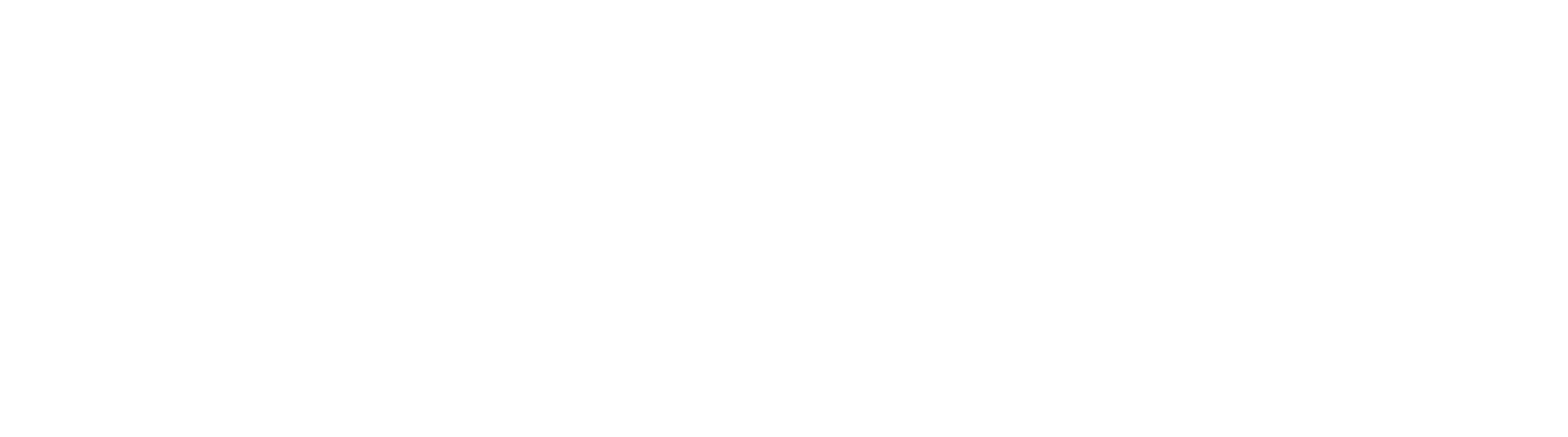 webdigi Logo